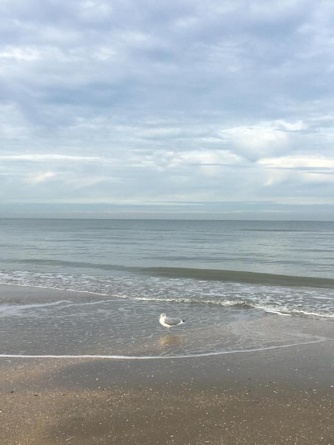 De Witte Berg Met Zonnig Zeezicht & Uniek Terras! * La Panne