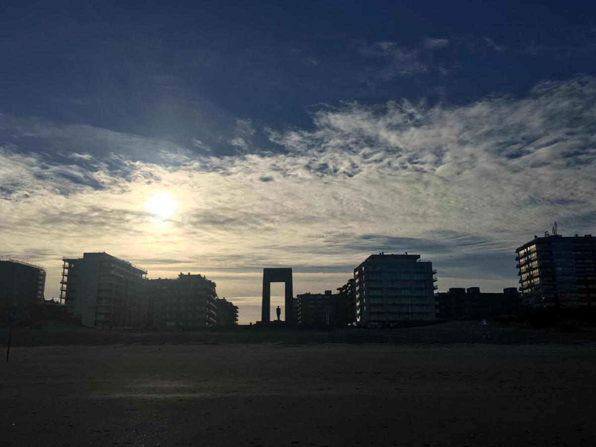 Appartement De Witte Berg Met Zonnig Zeezicht & Uniek Terras! La Panne